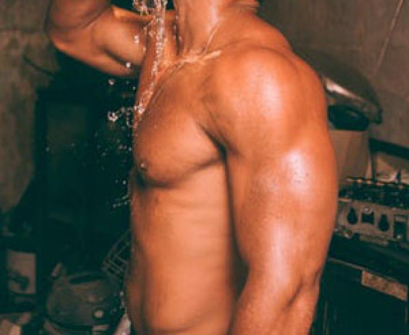 tiger_of